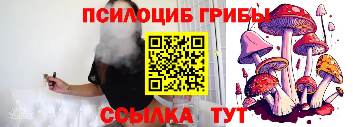 закладка  Псилоцибиновые грибы мухоморы  Вход с VPN  Псилоцибиновые грибы Psilocybine cubensis  Ликино-Дулёво 